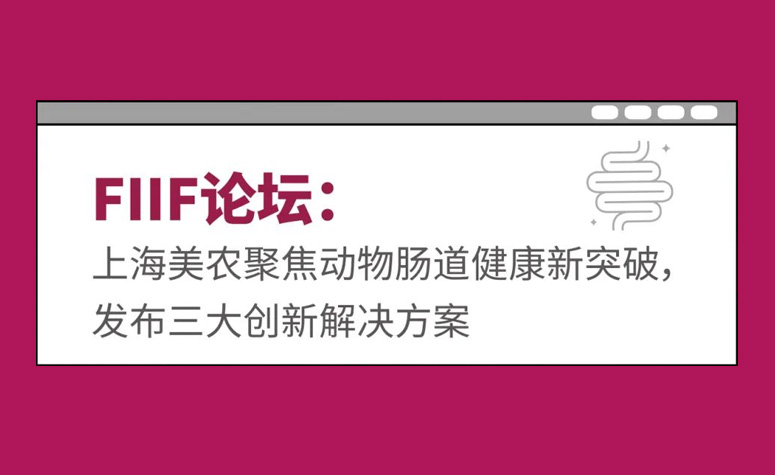 FIIF论坛：上海尊龙凯时聚焦动物肠路健康新突破，颁布三大创新解决规划